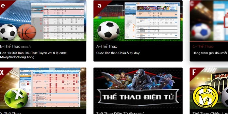 Top Trang Cá Độ Bóng Đá Hàng Đầu Trên Thị Trường Mạng