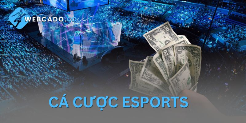 Cá Cược Esport – Trải Nghiệm Sân Chơi Uy Tín Tại Webcado